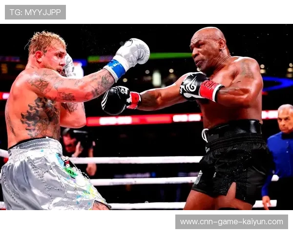 拳坛巅峰对决：力量与技巧的最高展示