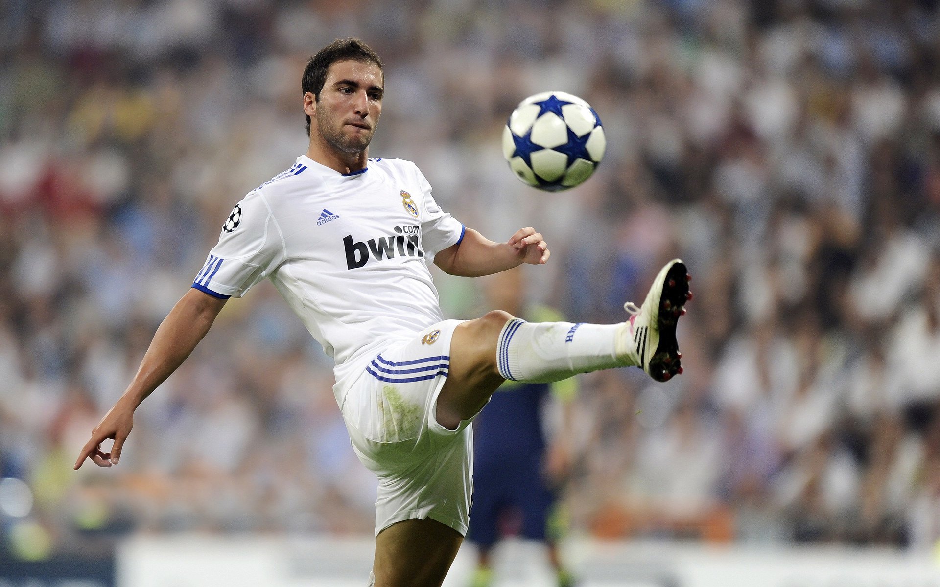 世界杯冠军城市庆典：百万球迷涌上街头机场接机